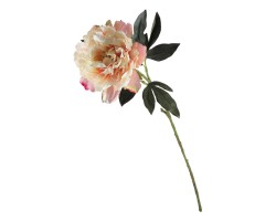 Цветок Пион (004071)