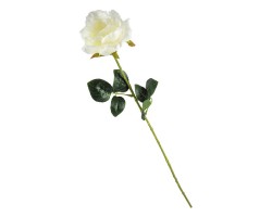 Цветок Роза (003841)